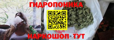 гидра Жуковский