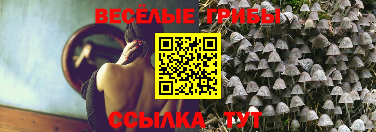 Галлюциногенные грибы Magic Shrooms Елизово