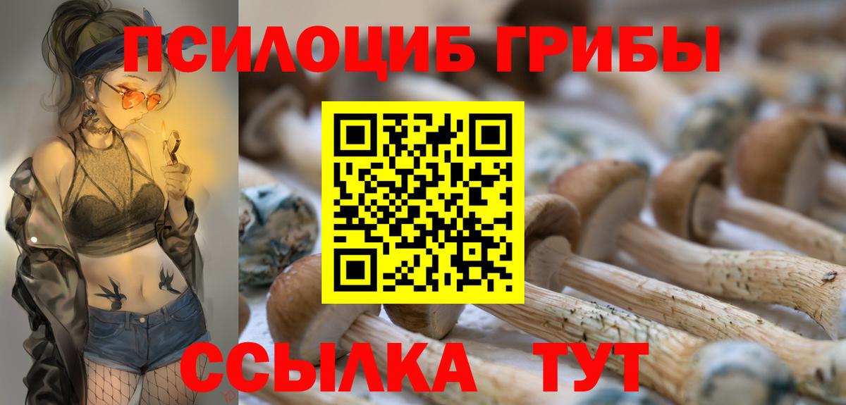 Псилоцибиновые грибы GOLDEN TEACHER  Вход с VPN  Галлюциногенные грибы ЛСД  Елизово 